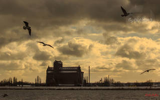 eb8ffdd595d45266ae04d2e12d96e54e