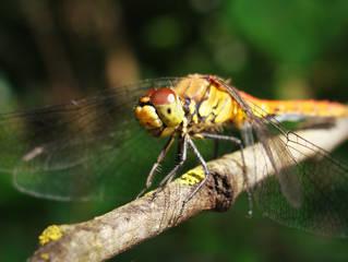 f1e21a95208f900f9ea142a4eb90ae8d